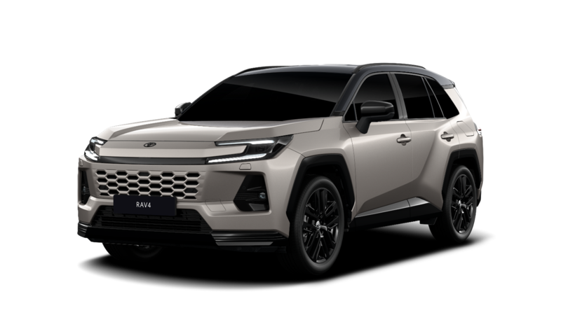 Toyota Rav4 - Offerta Noleggio Lungo Termine