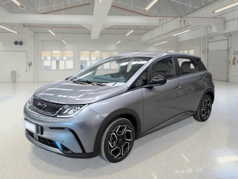 Byd Dolphin