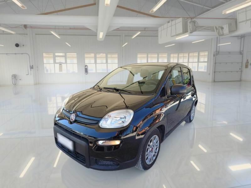 Fiat Panda Fiat Panda