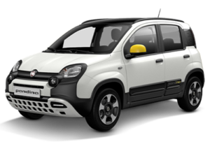 Fiat Pandina  - Offerta Noleggio Lungo Termine